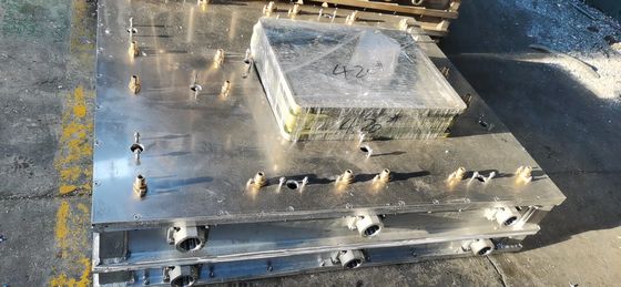 Économiser de l'énergie Le moule EPS personnalisé pour les boîtes en mousse de poissons/fruits/végétaux