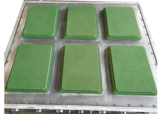 Moule de la boîte de poissons ISO9001 ENV pour l'emballage de légume fruit de fruit frais