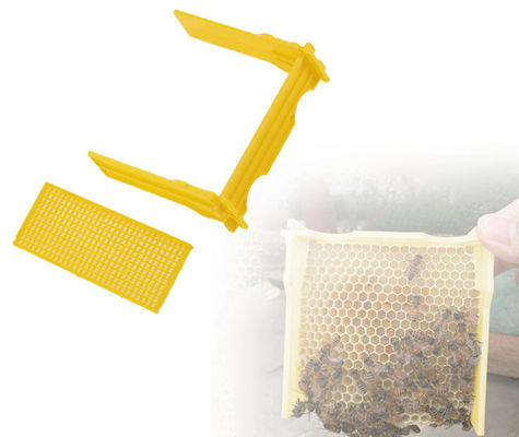 Alliage d'aluminium Diverses moisissures d'abeilles EPS Moule domestique Petites ruches Moule