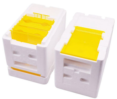 Alliage d'aluminium Diverses moisissures d'abeilles EPS Moule domestique Petites ruches Moule